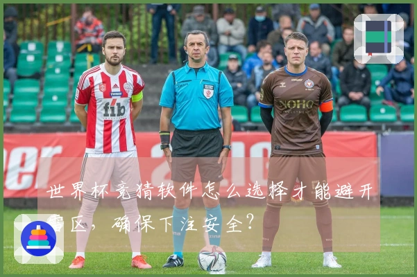 世界杯竞猜软件怎么选择才能避开雷区，确保下注安全？