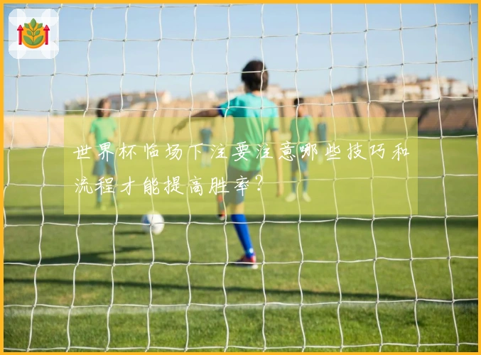 世界杯临场下注要注意哪些技巧和流程才能提高胜率？
