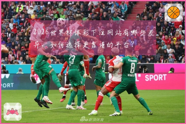 2026世界杯体彩下注网站有哪些差异，如何选择更靠谱的平台？